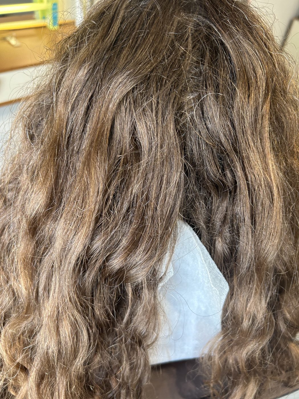 Cabelo antes da correção — opaco, sem uniformidade e ressecado